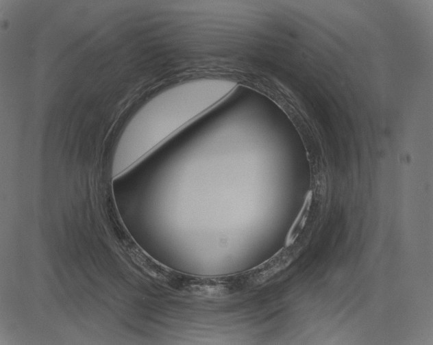X0000085240552200703090925