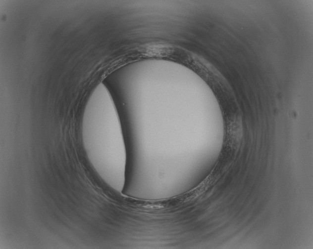 X0000085240554200703090925