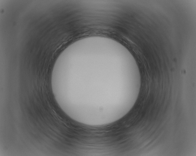 X0000085240556200703090925