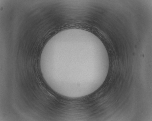 X0000085240558200703090925