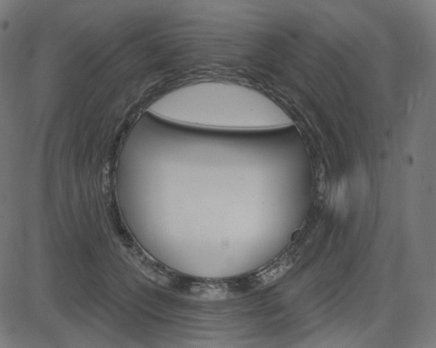 X0000085240559200703090925