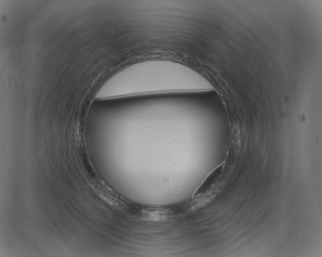 X0000085240564200703090925