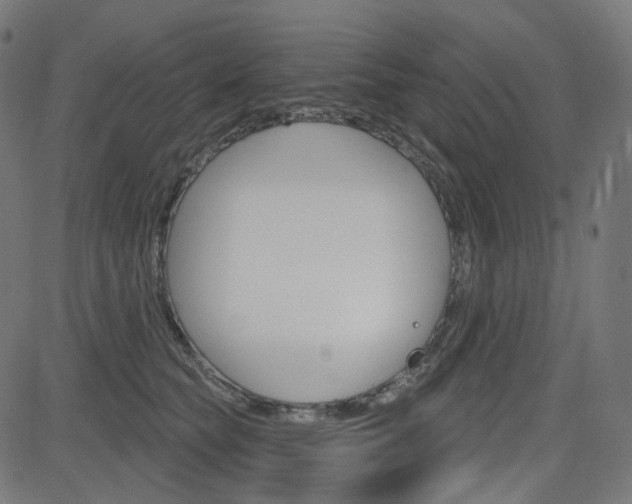 X0000085240565200703090925