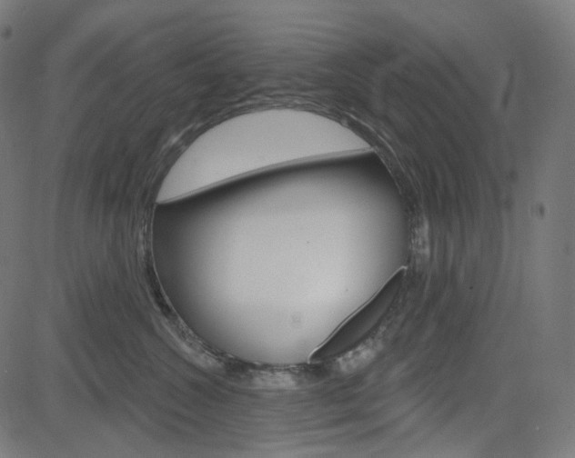 X0000085240572200703090925