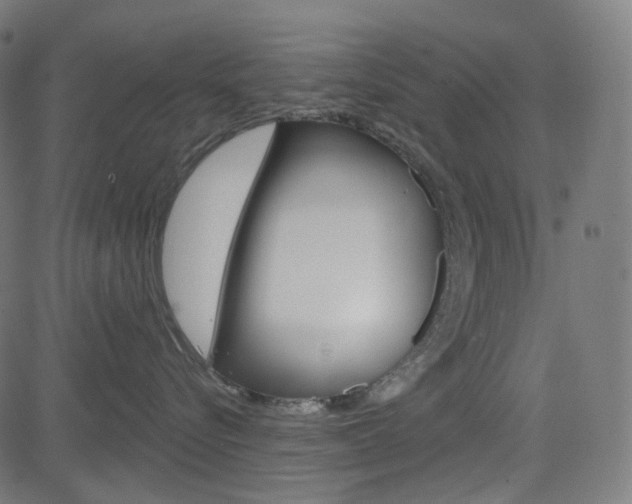 X0000085240576200703090925