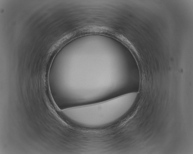 X0000085240581200703090924