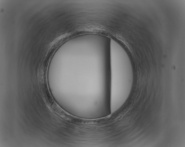 X0000085240587200703090924