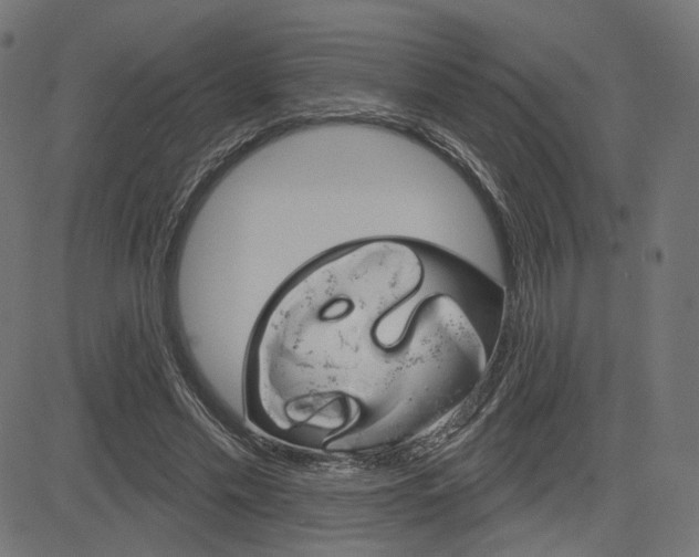 X0000085240589200703090924