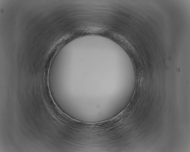 X0000085240591200703090924