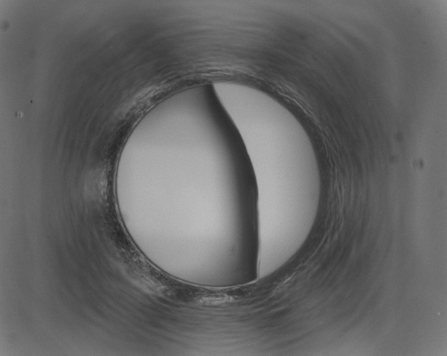 X0000085240595200703090924