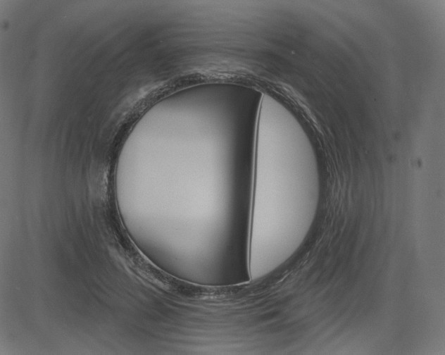 X0000085240596200703090924