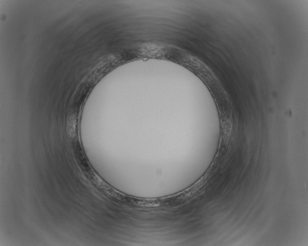 X0000085240602200703090924