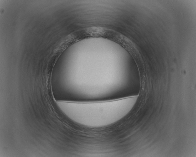 X0000085240604200703090924