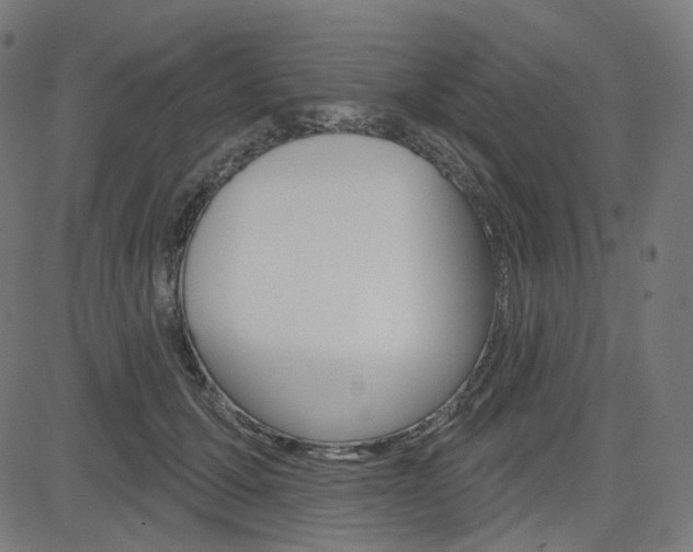 X0000085240607200703090924