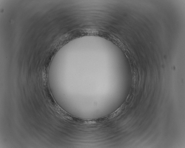 X0000085240609200703090924