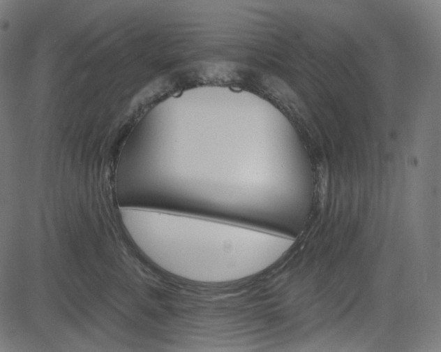 X0000085240619200703090924