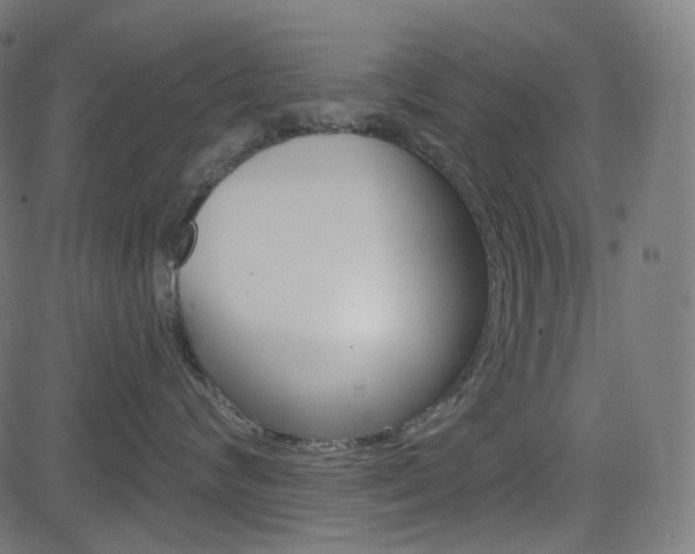 X0000085240624200703090924