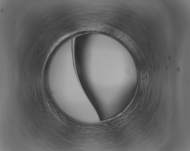 X0000085240628200703090923