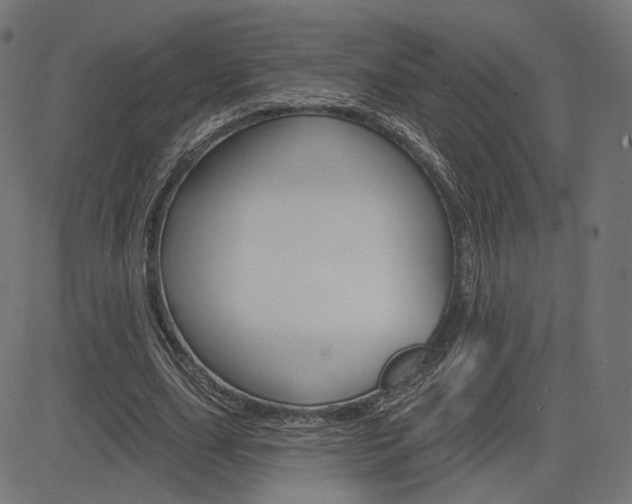 X0000085240631200703090923