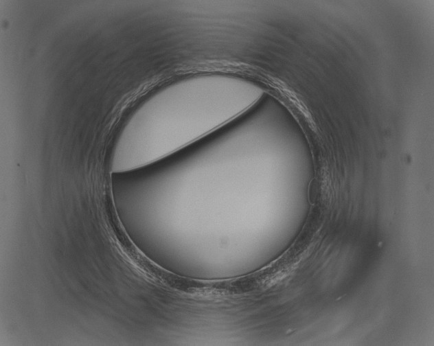 X0000085240633200703090923
