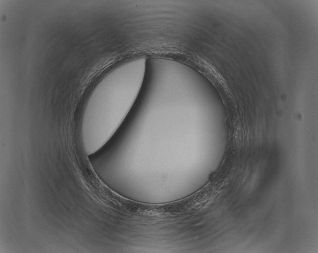 X0000085240635200703090923