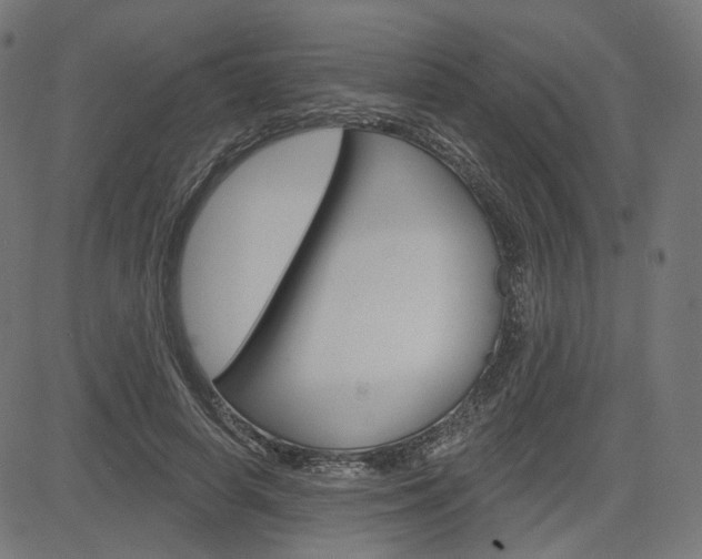 X0000085240642200703090923