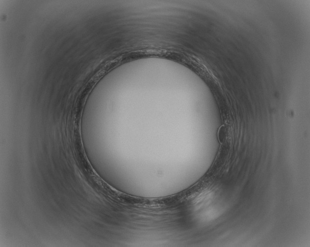 X0000085240643200703090923