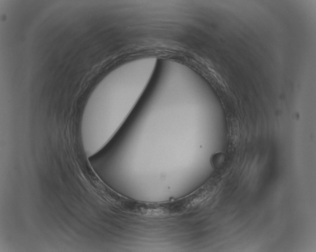 X0000085240645200703090923
