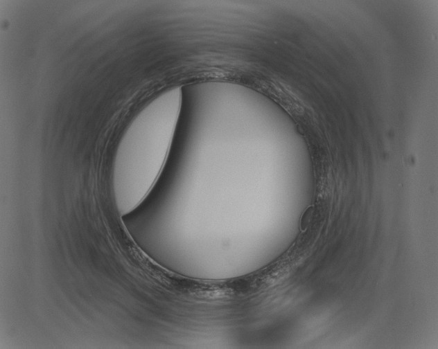 X0000085240646200703090923