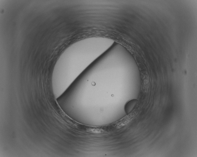X0000085240654200703090923