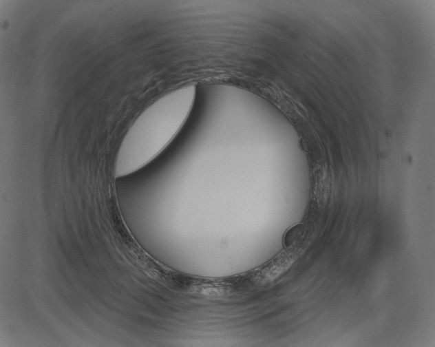 X0000085240655200703090923