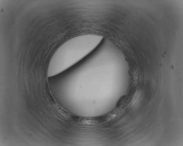 X0000085240657200703090923