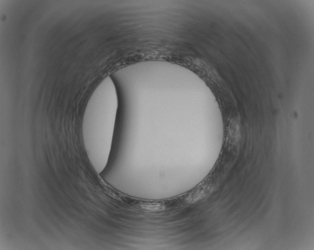 X0000085240659200703090923