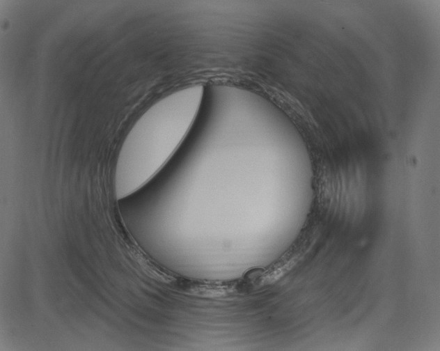 X0000085240661200703090923