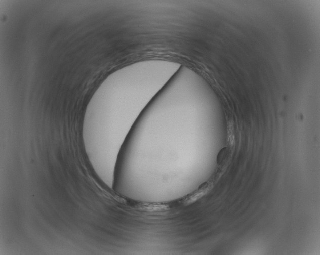 X0000085240670200703090923