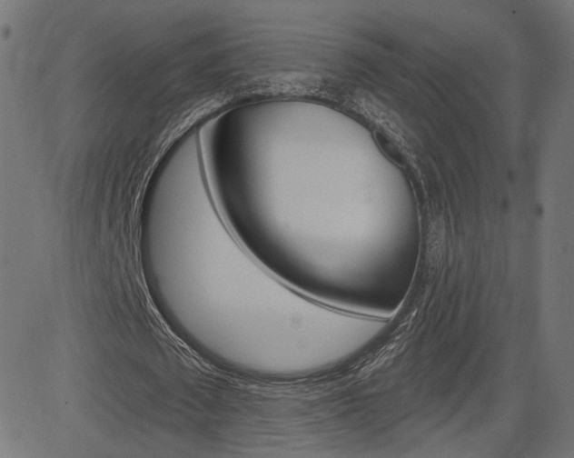 X0000085240673200703090923