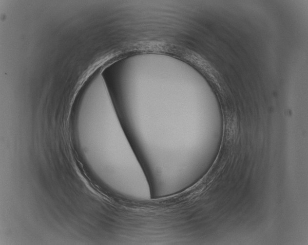 X0000085240674200703090923