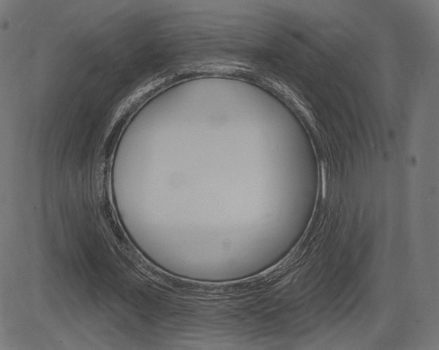 X0000085240675200703090923