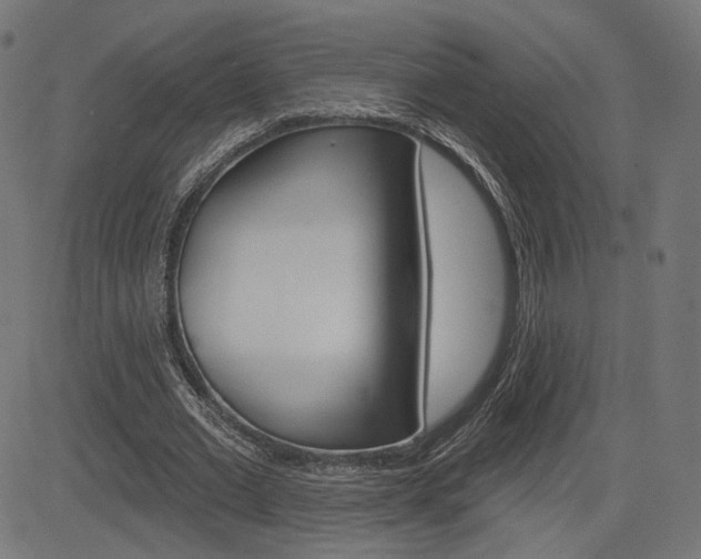 X0000085240677200703090923
