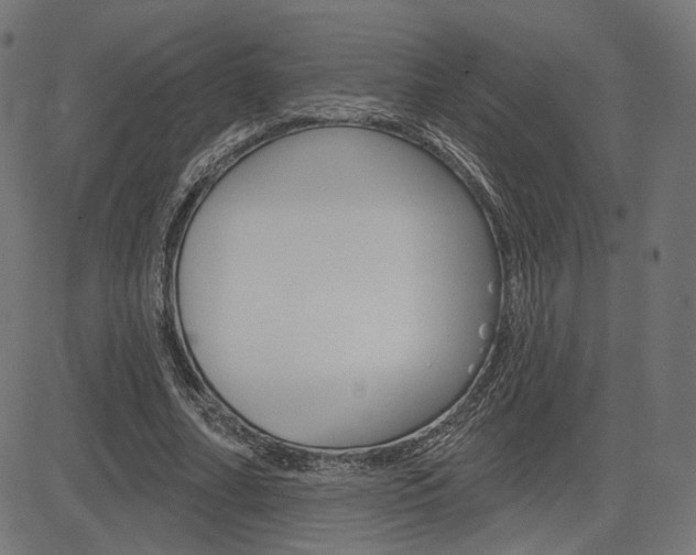 X0000085240682200703090923