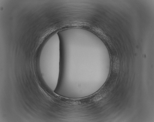 X0000085240683200703090923
