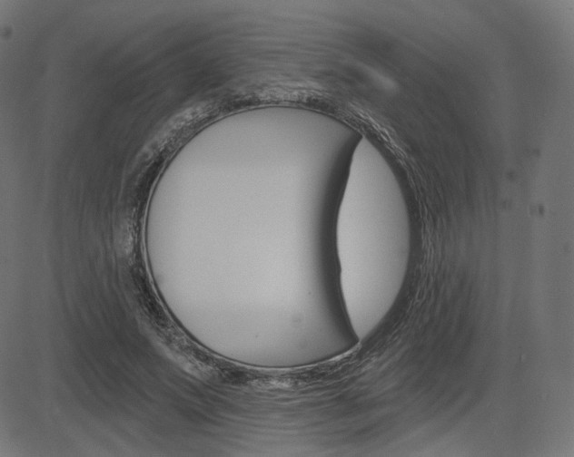 X0000085240687200703090922