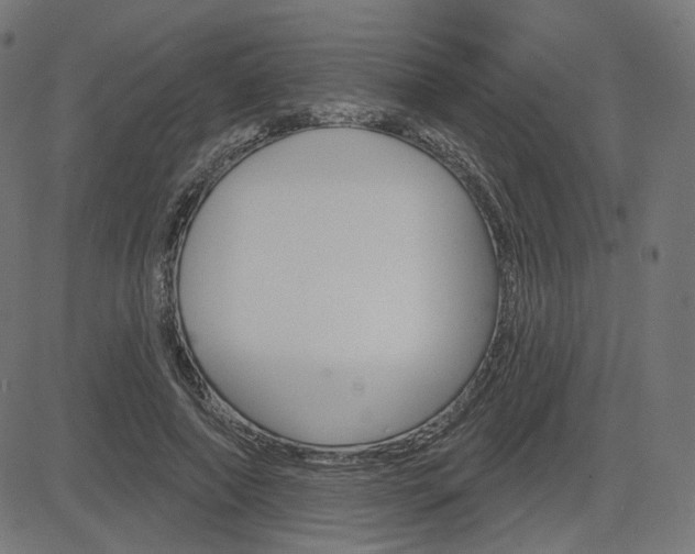 X0000085240690200703090922