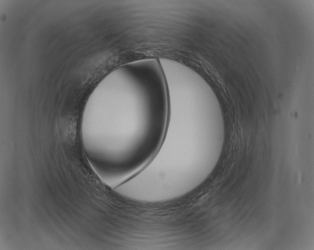 X0000085240697200703090922