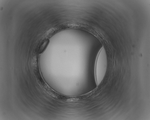 X0000085240700200703090922