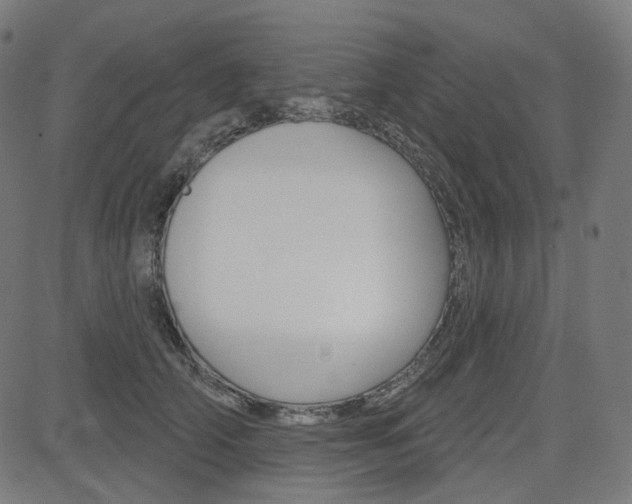 X0000085240706200703090922
