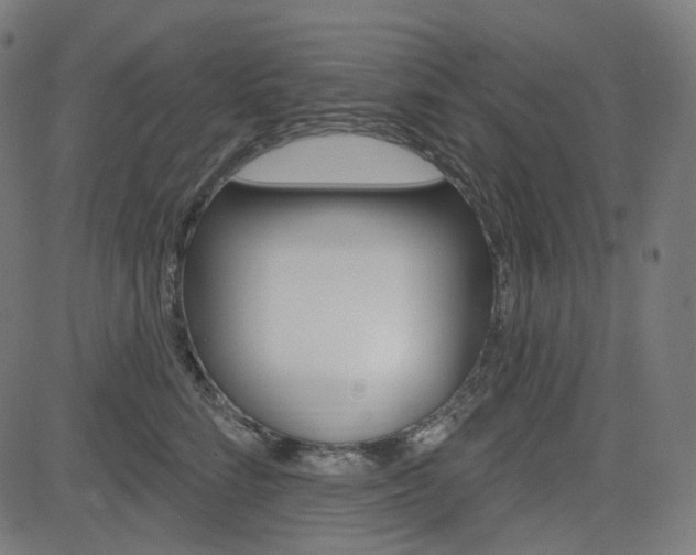 X0000085240712200703090922