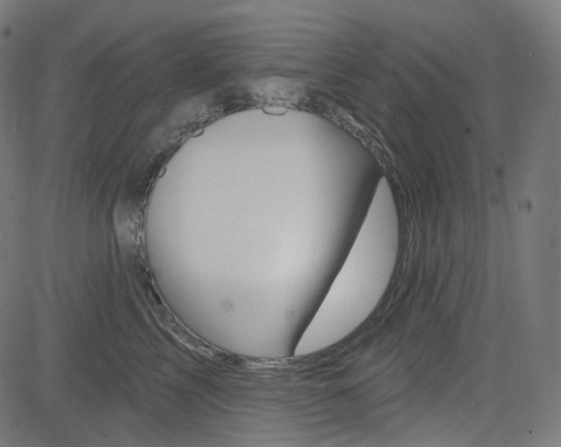X0000085240713200703090922