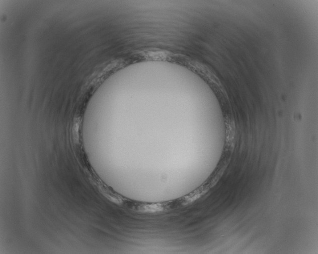 X0000085240717200703090922