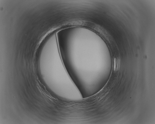 X0000085240723200703090921